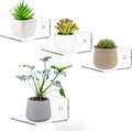 BIGIMALL 4 pcs x Wall Shelves,Mini Floating Shelves Acrylic Display Shelves, Decor Living Room Wall Mounted  Clear