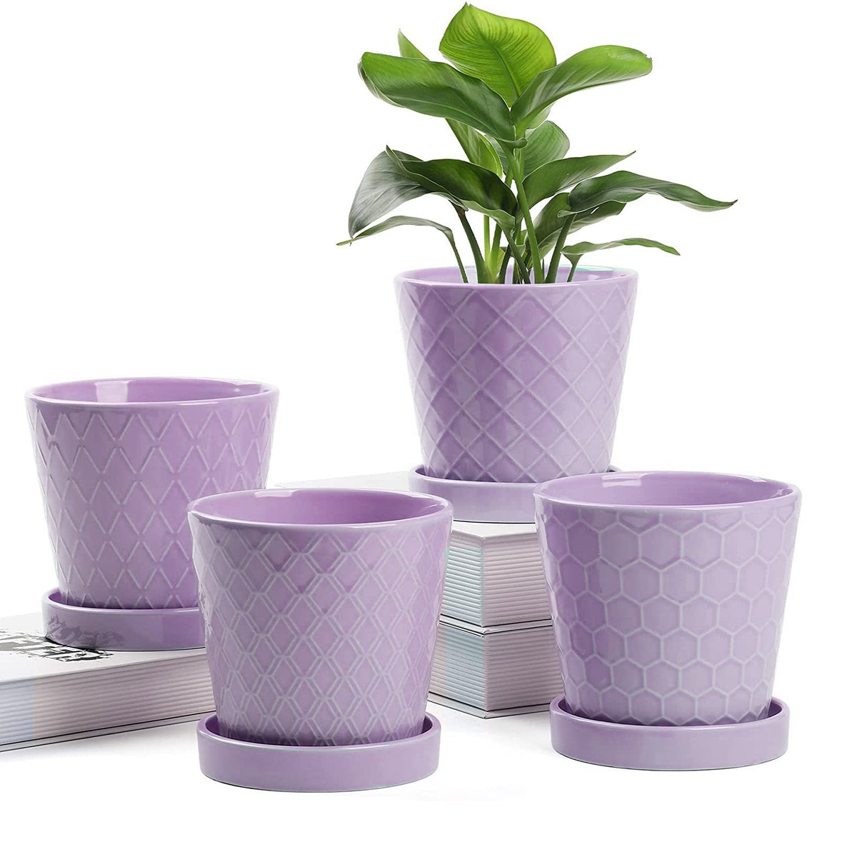 Efispss Flower Planter -5 Inch Ceramic Plant Pots With Drainage Holes And Ceramic Tray - Gardening Home Desktop Office Windowsil