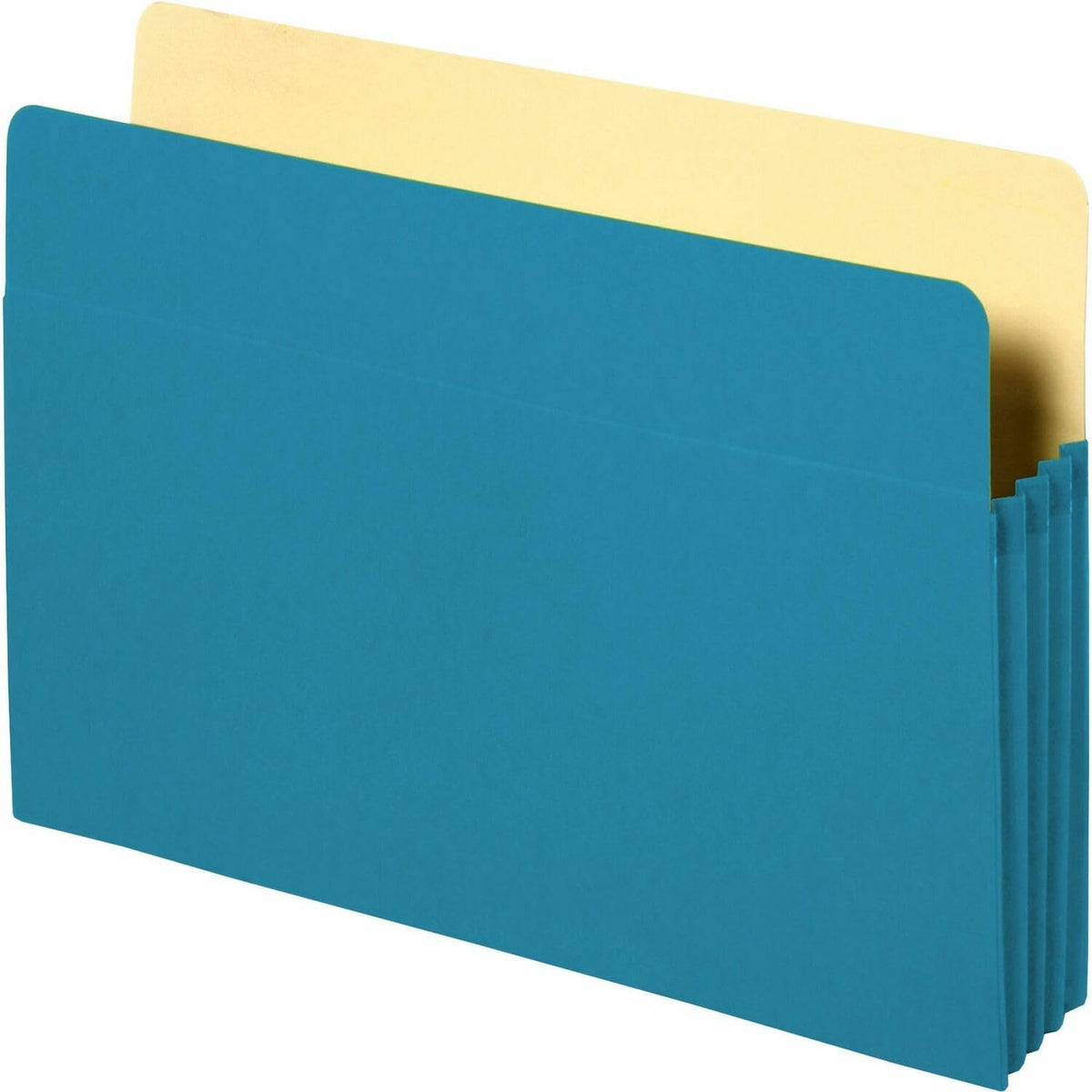 Accordion Pocket,3-1/2' Exp,11-3/4'X9-1/2',Blue