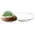 Royal Imports Flower Glass Vase, Bowl Terrarium Succulent Planter, Air Plant Hydroponic Display, Floating Candles Decorative Cen