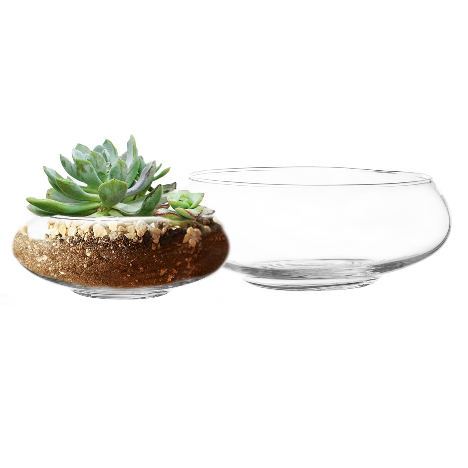 Royal Imports Flower Glass Vase, Bowl Terrarium Succulent Planter, Air Plant Hydroponic Display, Floating Candles Decorative Cen