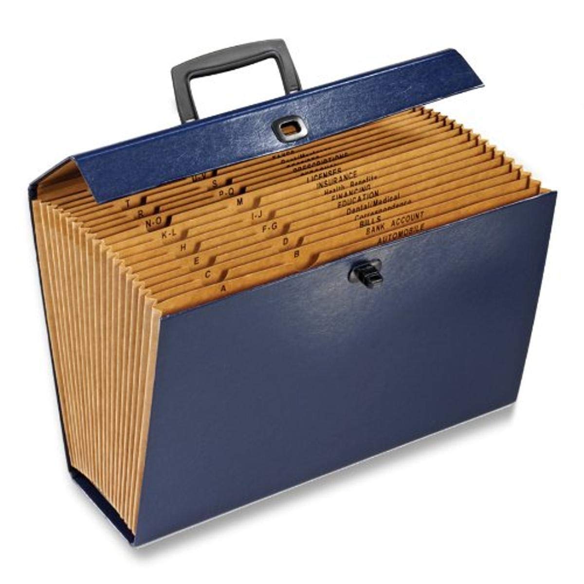 Globe Weis Globe-Weis/Pendaflex Globe Weis 19-Pocket File Express Case (11170) (Colors May Vary),Assorted Colors