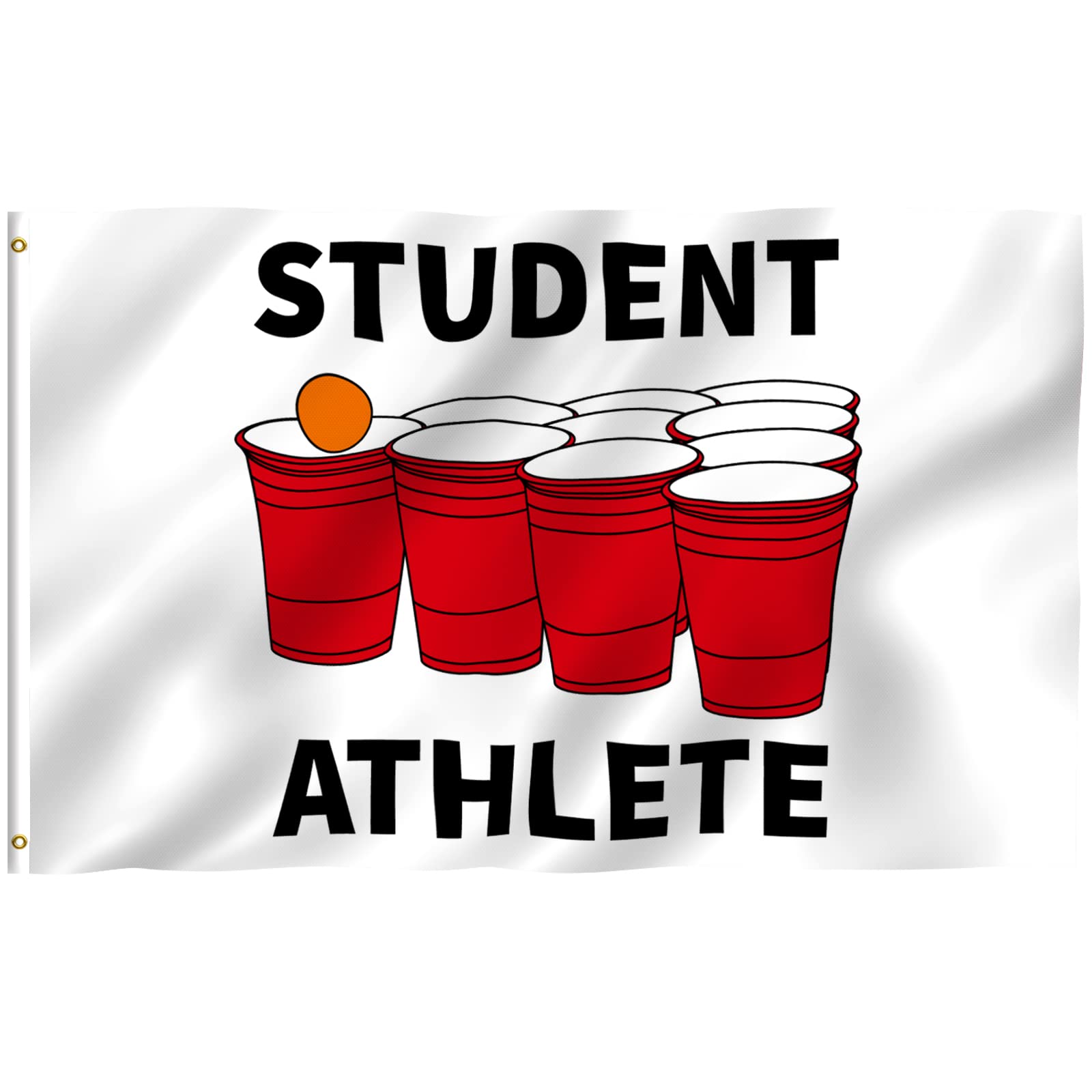 Anley Fly Breeze 3X5 Foot Student Athlete Flag - Vivid Color And Fade Proof - Canvas Header And Double Stitched - Novelty Colleg