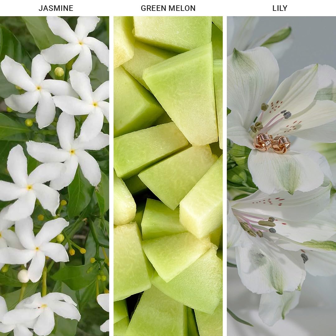 Hotel Collection Fragrance Oil - Fragrance Oil Inspired By The Wynn - Scent Includes Lemon, Green Melon & Green Tea - Mystify, 5