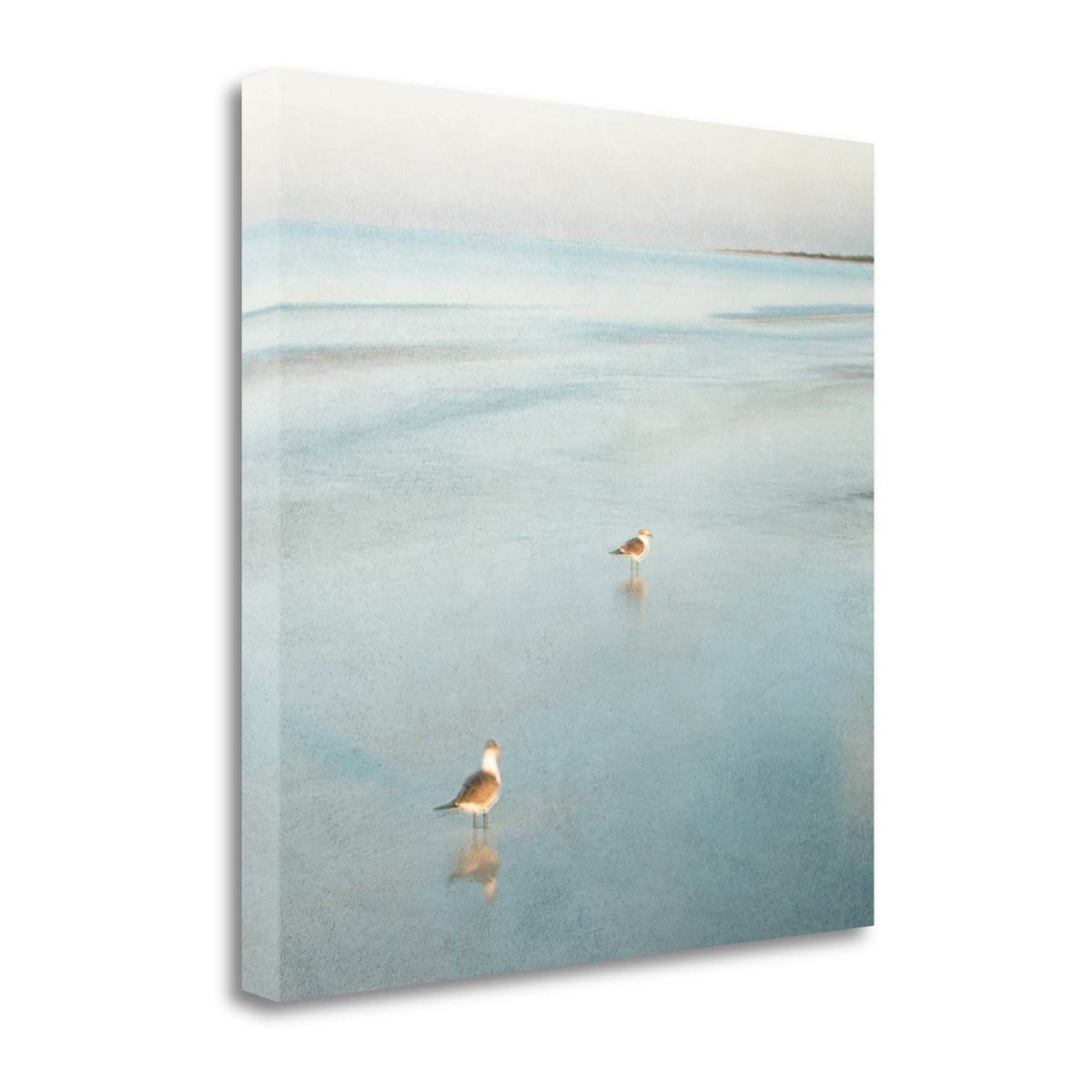 26' Coastal Two Seagulls on the Beach Giclee Wrap Canvas Wall Art