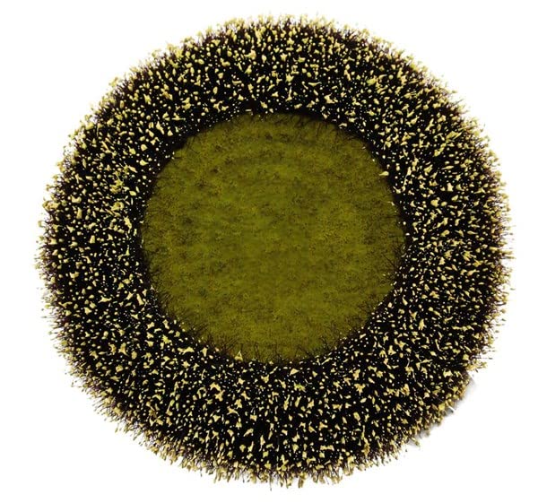 Craig Bachman Yellow and Black Flower Center & Artificial Sunflowers Set - Ideal for Sunflower Wreaths, Home, Kitchen, Spring, a