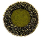 Craig Bachman Yellow and Black Flower Center & Artificial Sunflowers Set - Ideal for Sunflower Wreaths, Home, Kitchen, Spring, a
