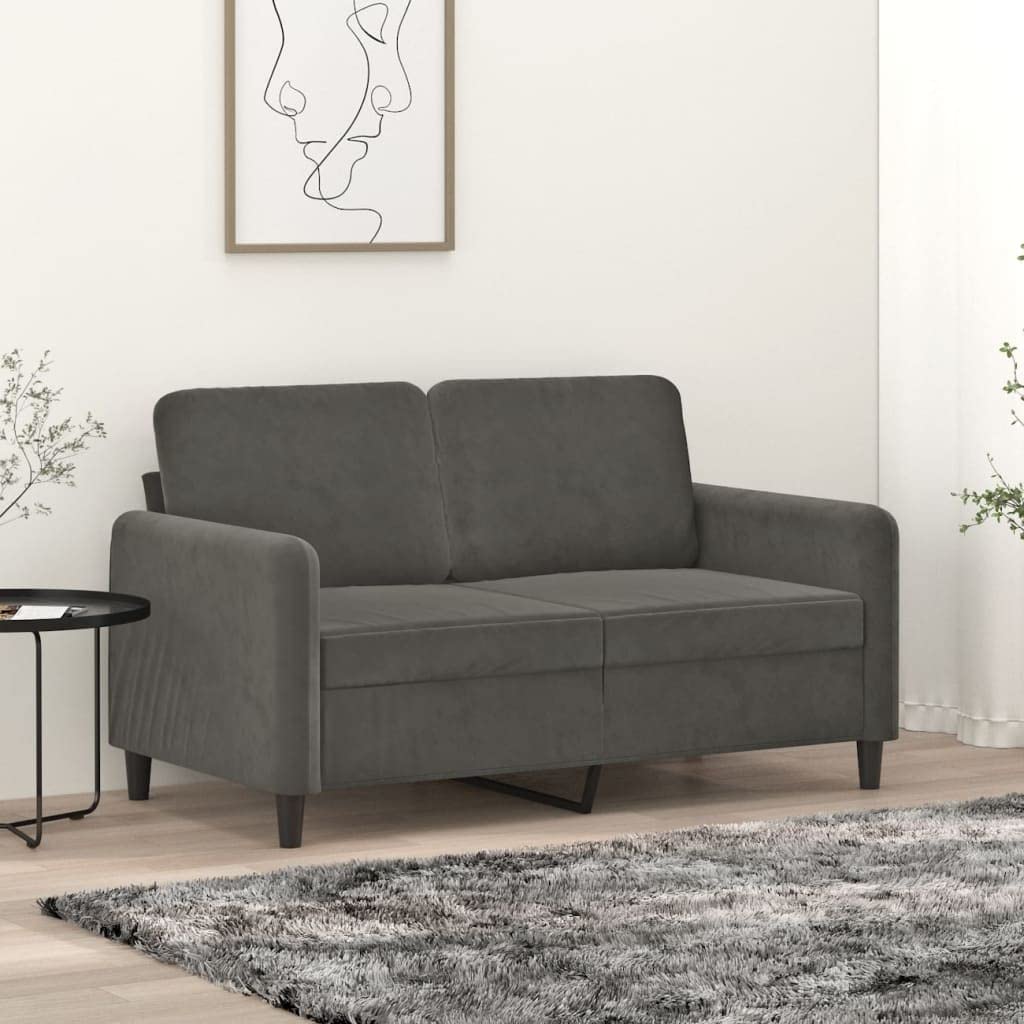 vidaXL 2-Seater Sofa in Dark Gray Velvet Finish, 100% Polyester Covering, Compact Size, Ideal for Reading, TV Watching or Relaxing, Foam Filling Material, Compliant with California Proposition 65