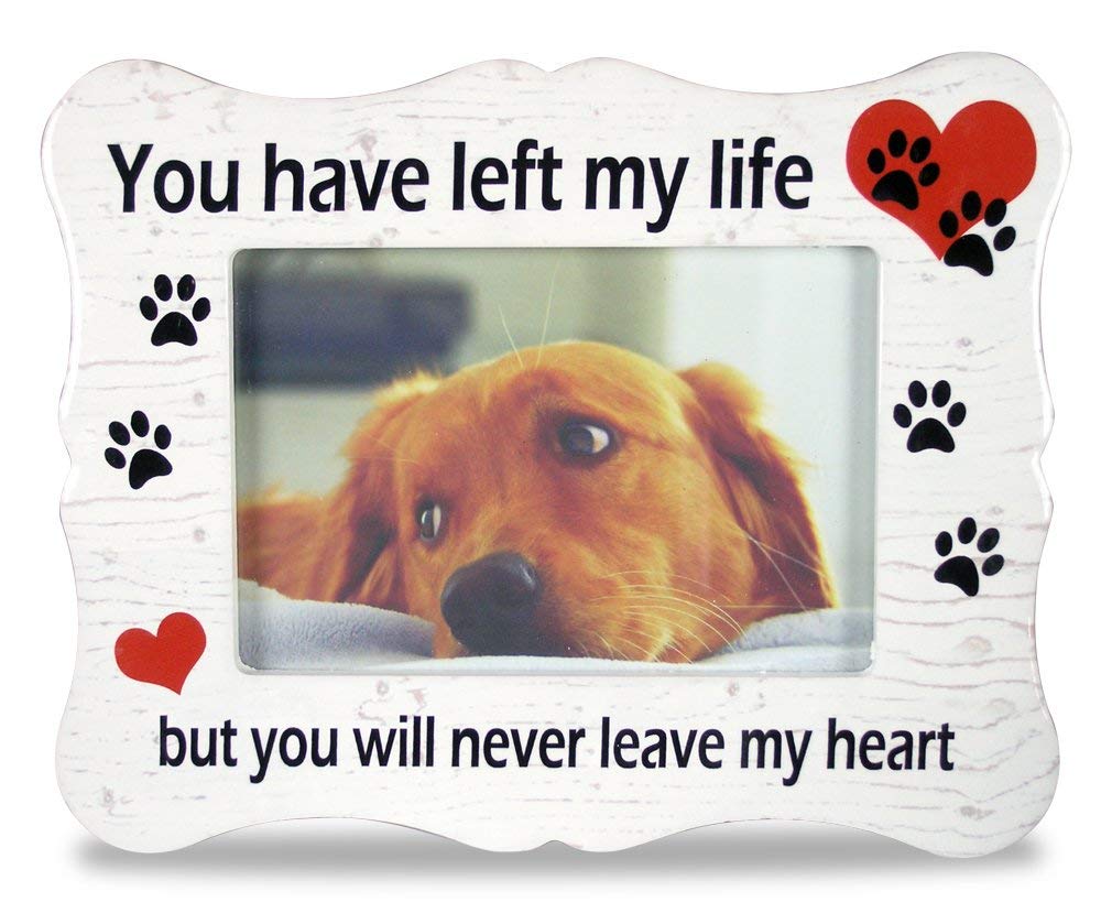 BANBERRY DESIGNS Pet Memorial Ceramic Picture Frame - You Have Left My Life But You Will Never Leave My Heart - Loss of a Pet Gi