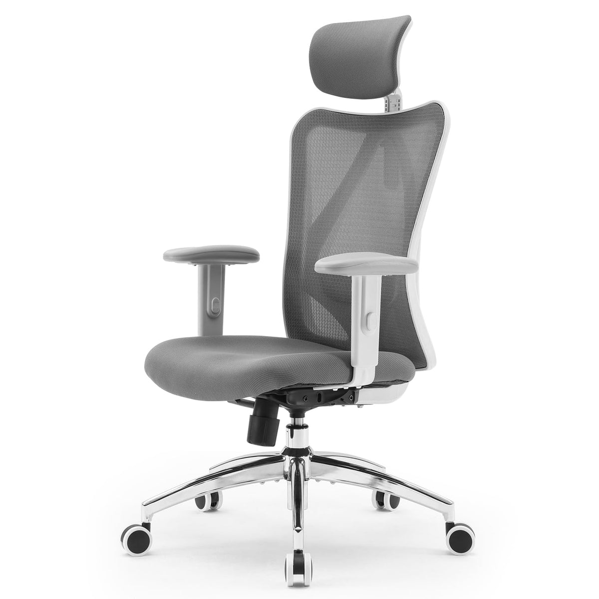 Sihoo M18 Ergonomic Office Chair, Computer Desk Chair With Adjustable Headrest And Lumbar Support, High Back Executive Swivel Chair For Home Office (Dark Gray)