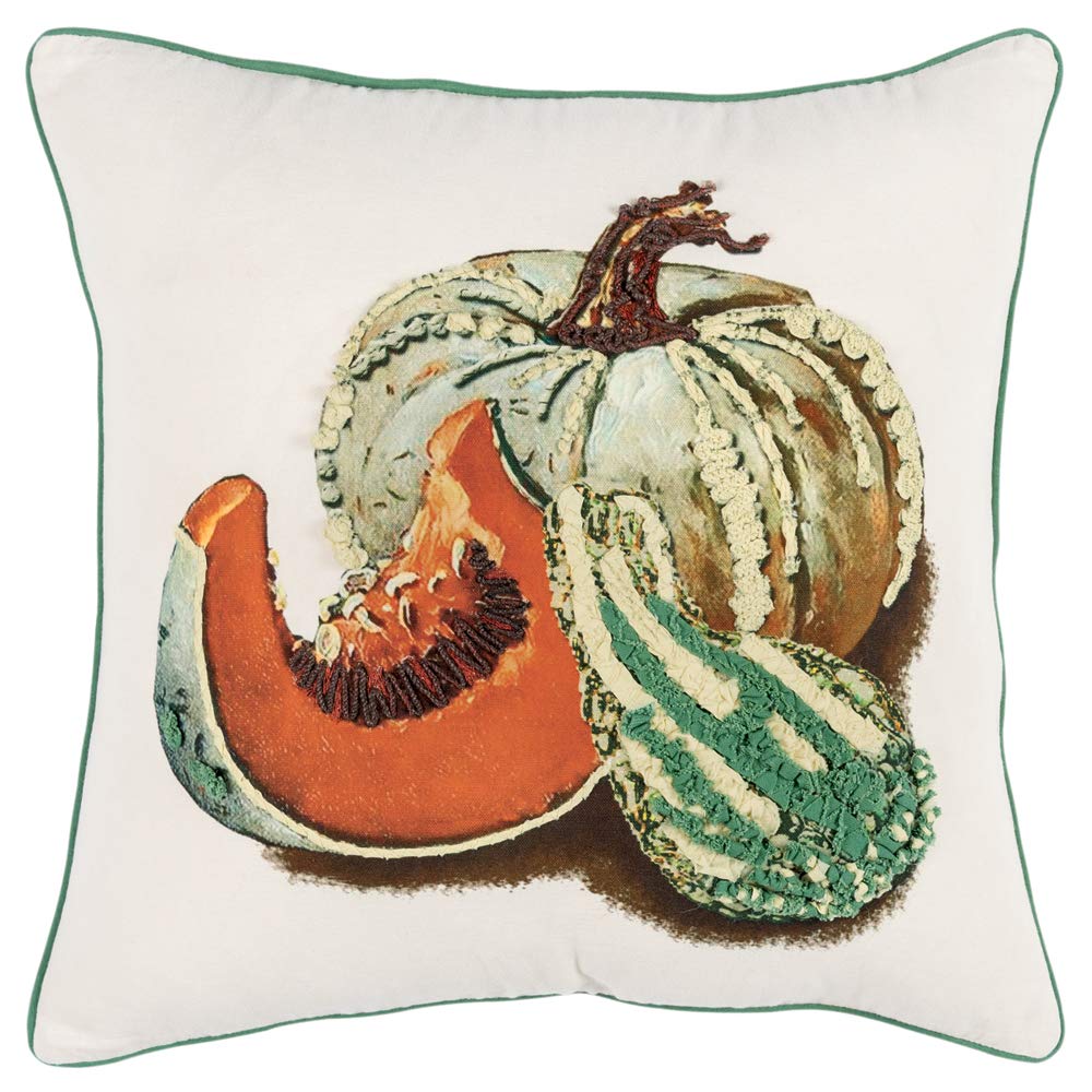 Rizzy Home Gourds/Pumpkins 20" Down Pillow with Cotton Duck Cover-Multi-Color
