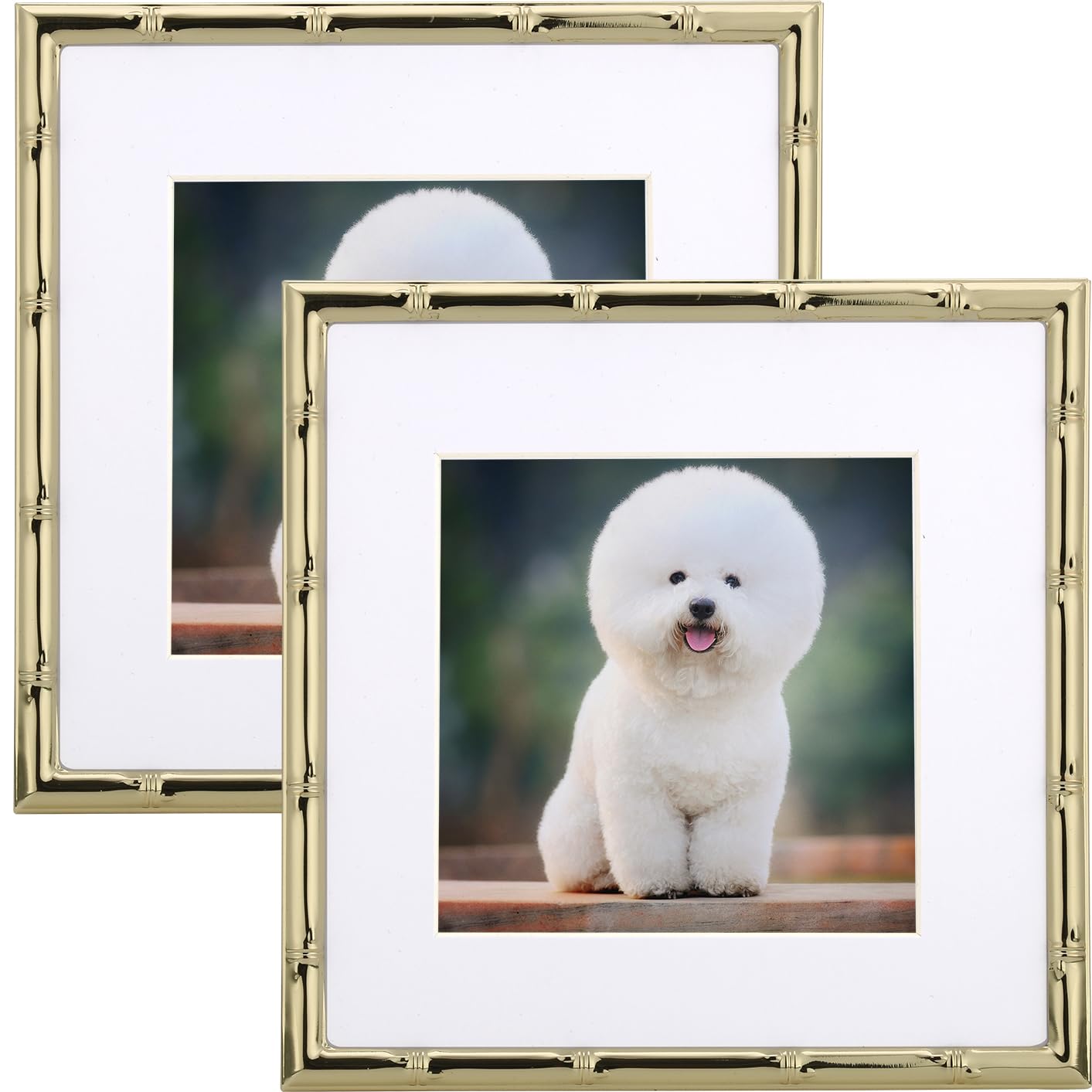 YiPinYin 6x6 Sqaure Gold Metal Picture Frame With Mat for 4x4 Set of 2, Bamboo Detail Designs Gold Plated Photo Frames 4x4