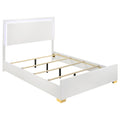 Coaster Home Furnishings Marceline Contemporary Wood Queen Size Led Panel Bed Frame 51-Inch Headboard White 222931Q