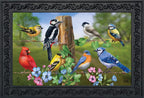 Briarwood Lane Country Birds Spring Doormat Finch Blue Jay Cardinal Indoor Outdoor 30' X 18'