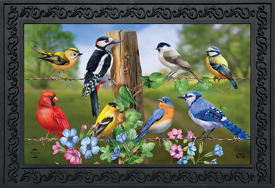 Briarwood Lane Country Birds Spring Doormat Finch Blue Jay Cardinal Indoor Outdoor 30' X 18'