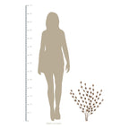 HomeRoots Bronze 100% Iron Gold Metal Leaf Bunch Wall DÃcor