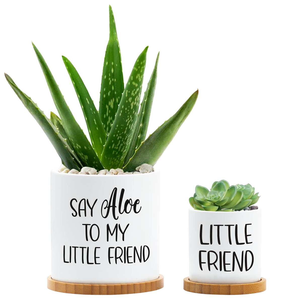 Tuitessine Say Aloe To My Little Friend Planter Plant Lover Set Of 2 Spring Funny Pun Flower Pot With Bamboo Tray Ceramic Indoor