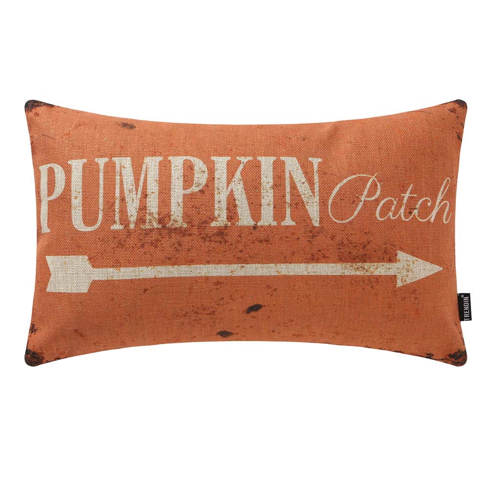 Trendin Decorative Throw Pillow Cover 20X12 Inch Rustic Pumpkin Patch Cushion Case Rectangular Shape Pl342Tr