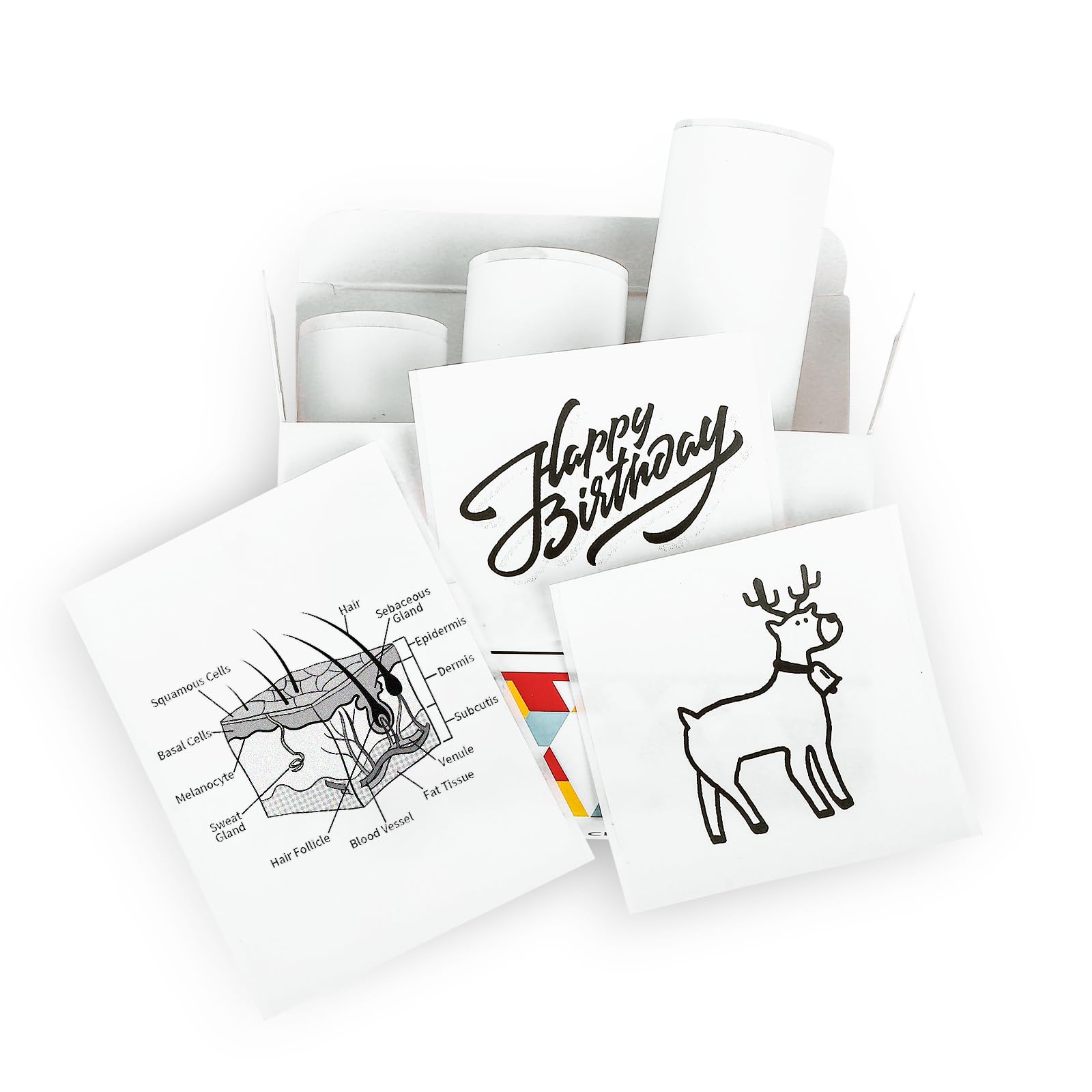 Memoking T02/M02X/M02L White Thermal Paper-2-Year Sticky 50Mmx3.5M For Journal Photo Texts Study Notes And More, 3 Rolls