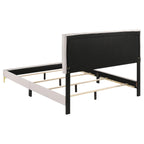 Coaster Home Furnishings Kendall 49-Inch Upholstered Bed Queen Size Modern Panel Bed Frame Velvet Upholstery Button Tufted with Gold Accents White 224401Q
