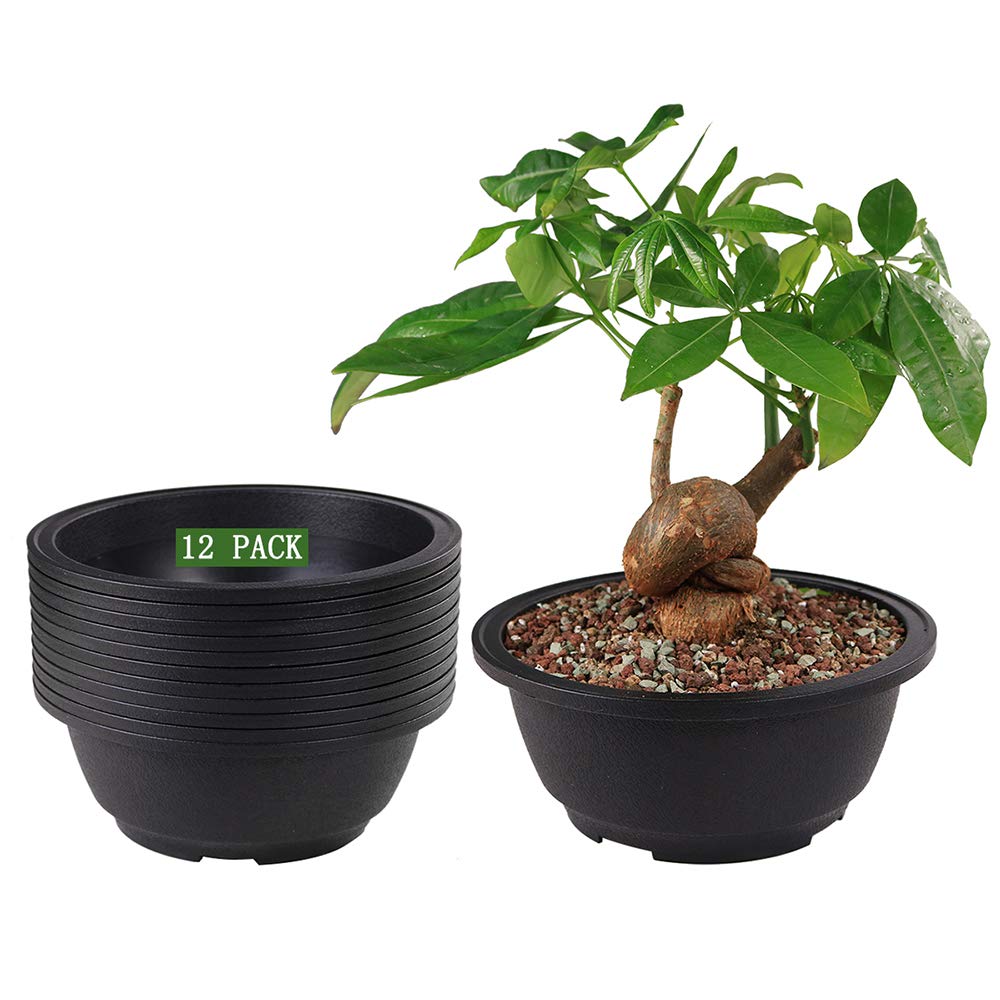 Muzhi 12 Pack Matte Finish Black Round Bonsai Bowl Planter Pot With Drainage, Plastic Garden Low Planter Pots 7.8'
