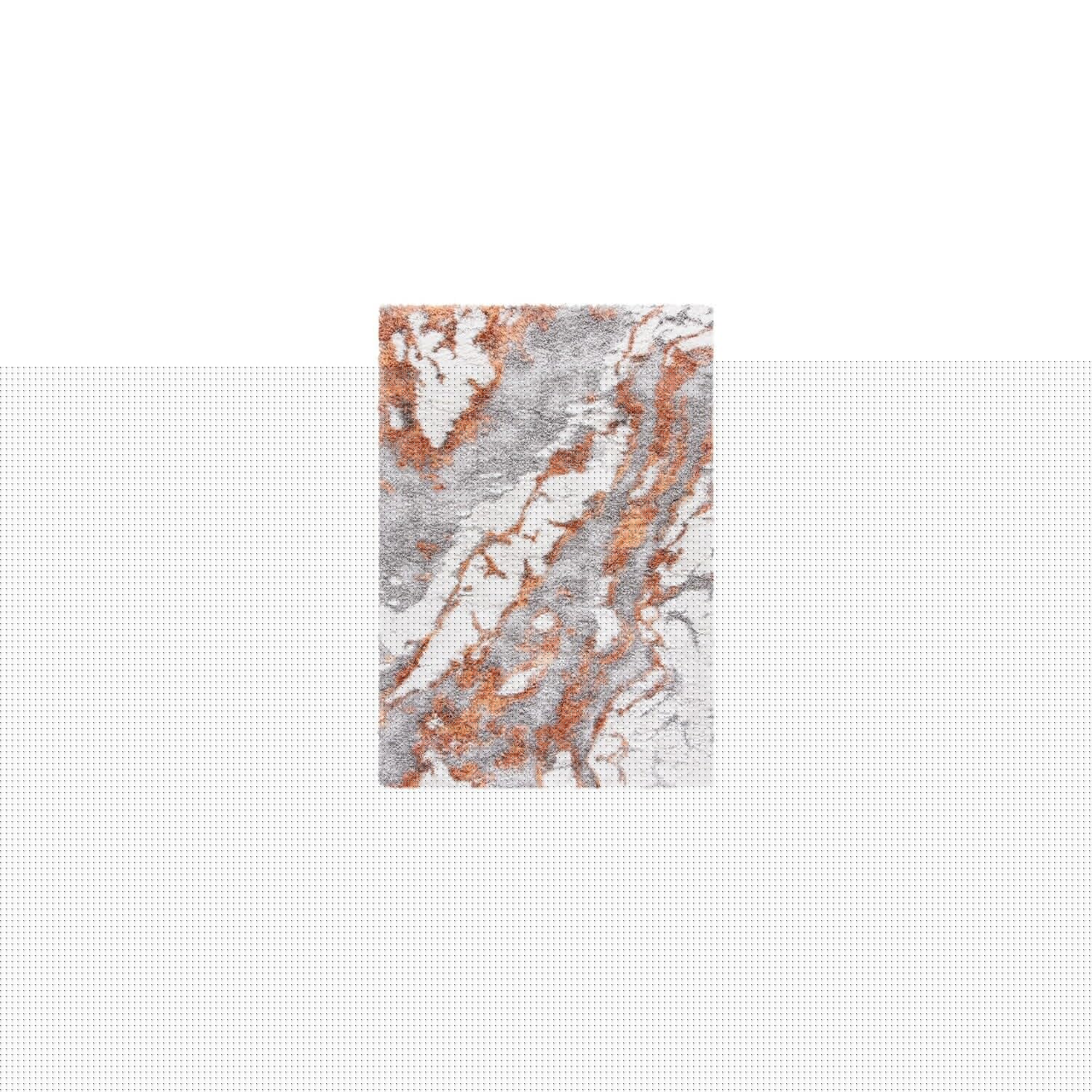 SAFAVIEH Horizon Shag Collection Accent Rug - 3 x 5, Grey & Rust, Non-Shedding & Easy Care, 2-inch Thick Ideal for High Traffi