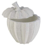 Ok Lighting Nautilus Decorative Box, 9.75"