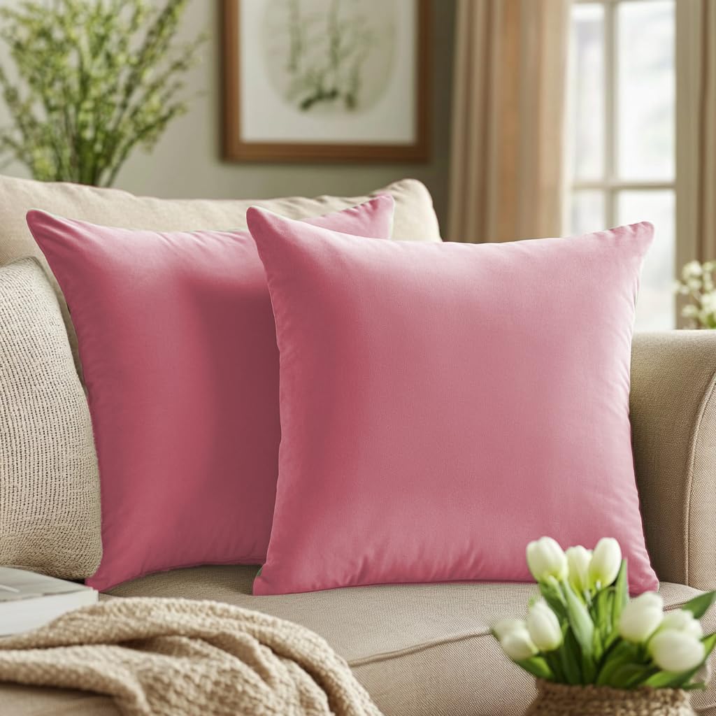 Quorgves Light Pink Pillow Covers 20X20 Inch Pack Of 2 Light Pink Throw Pillows For Couch Living Room Bed Bedroom Soft Velvet Sq