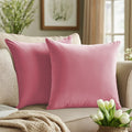 Quorgves Light Pink Pillow Covers 22X22 Inch Pack Of 2 Light Pink Throw Pillows For Couch Living Room Bed Bedroom Soft Velvet Sq