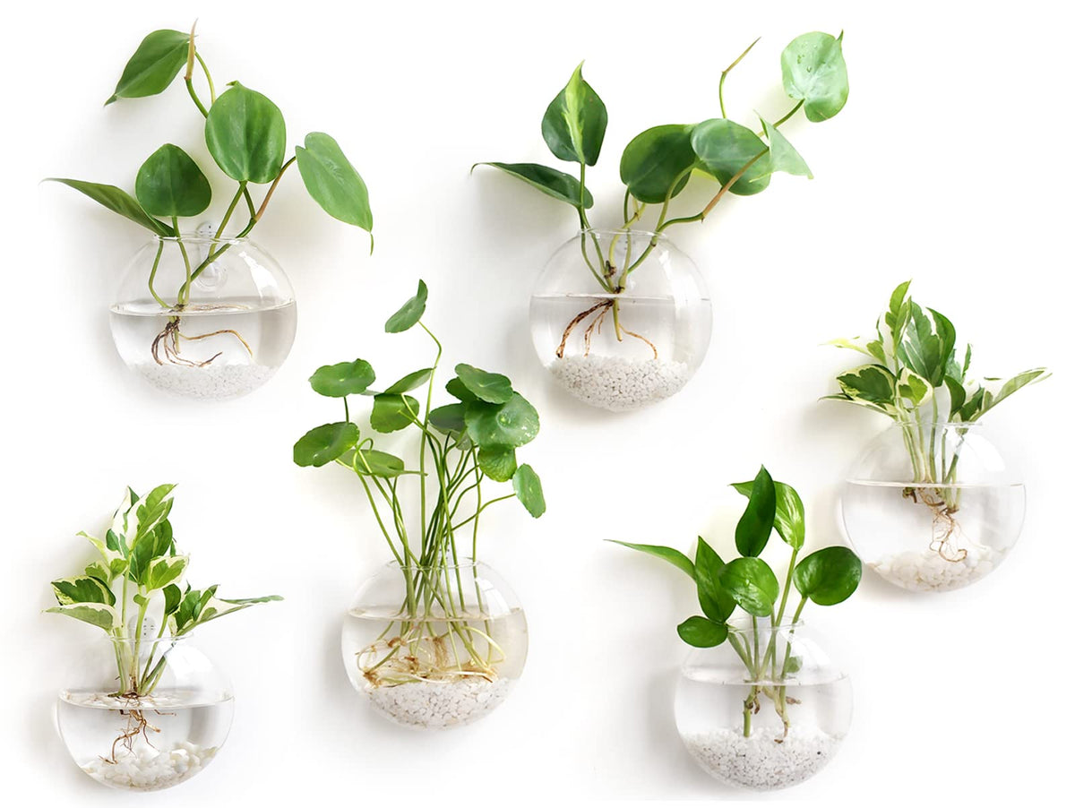 Mkono Wall Hanging Glass Terrariums Planter Oblate Flower Vase For Hydroponics Plants, Bathroom, Home Office Living Room Decor,