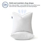 Miulee Feather Pillow Insert 22X22, Decorative Down Throw Pillow Insert Fluffy Throw Pillow Cotton Fabric For Sofa Bed Couch