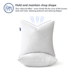 Miulee Feather Pillow Insert 12X20, Decorative Down Throw Pillow Insert Fluffy Throw Pillow Cotton Fabric For Sofa Bed Couch