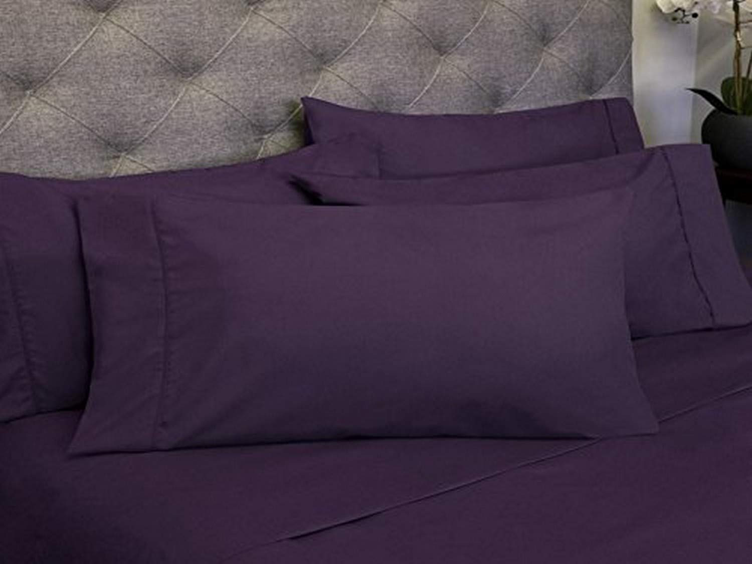 Sweet Home Collection 6 Piece 1800 Count Olivia Branch Microfiber Bedroom Sheet Set, Queen, Purple