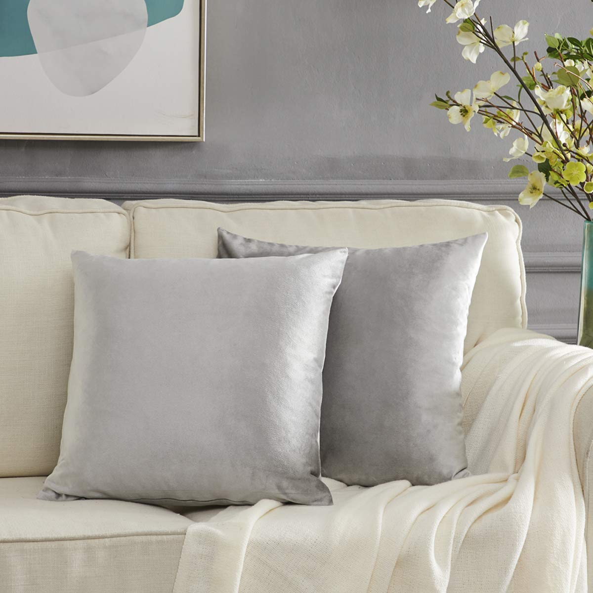 Gigizaza Silver Grey Velvet Decorative Throw Pillow Covers For Sofa Bed 2 Pack Soft Cushion Cover