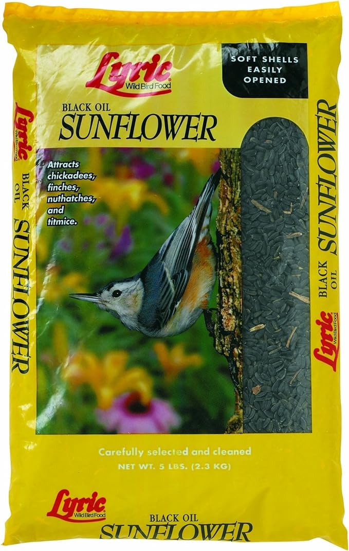 Lyric Black Oil Sunflower Seed 5 Lbs.