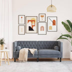 vidaXL Chesterfield Sofa Loveseat/Settee 2-Seater - Dark Gray Velvet, Button-Tufted Backrest & Armrests, 68.5?W x 29.3?D x 27.8?H