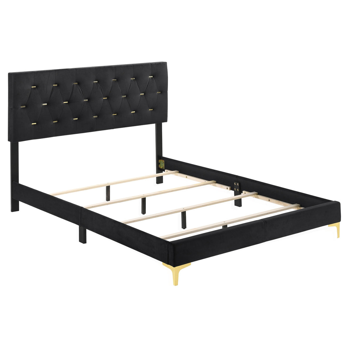 Coaster Home Furnishings Kendall 49-Inch Upholstered Bed Eastern King Size Modern Panel Bed Frame Velvet Upholstery Button Tufted with Gold Accents Black 224451KE