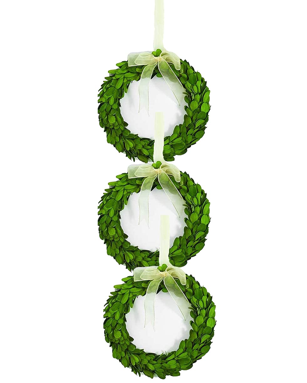 BOXWOOD VALLEY Boxwood Wreath Mini 6 inch Preserved Round Boxwood Wreath, Door Wall Hanging Window Wedding Party Decoration Farm