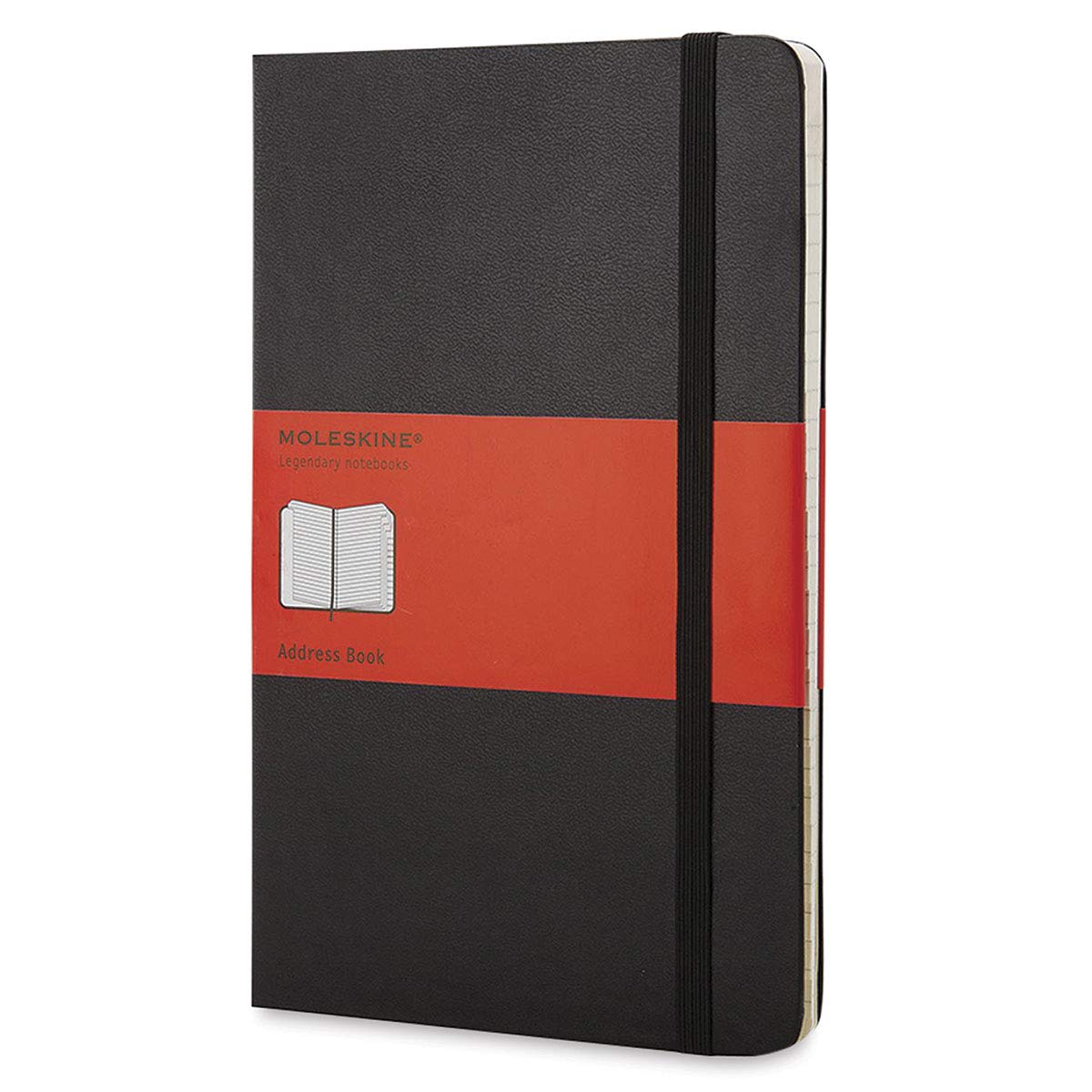 Moleskine Pro Address Book, Hard Cover, Large (5' X 8.25') Black, 240 Pages