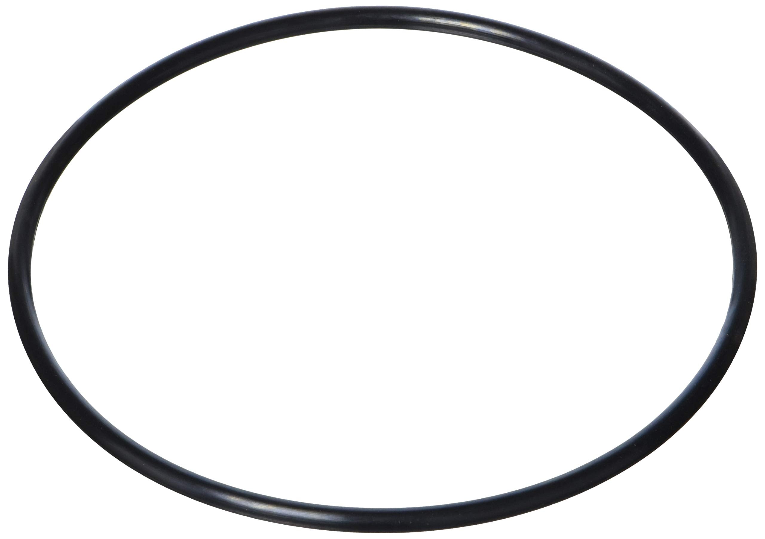 Waterway O-Ring, Filter Lid 805-0360