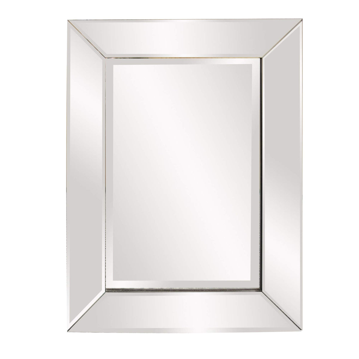 HomeRoots Rectangle Frame Mirror with Mirrored Finish and Beveled Edge