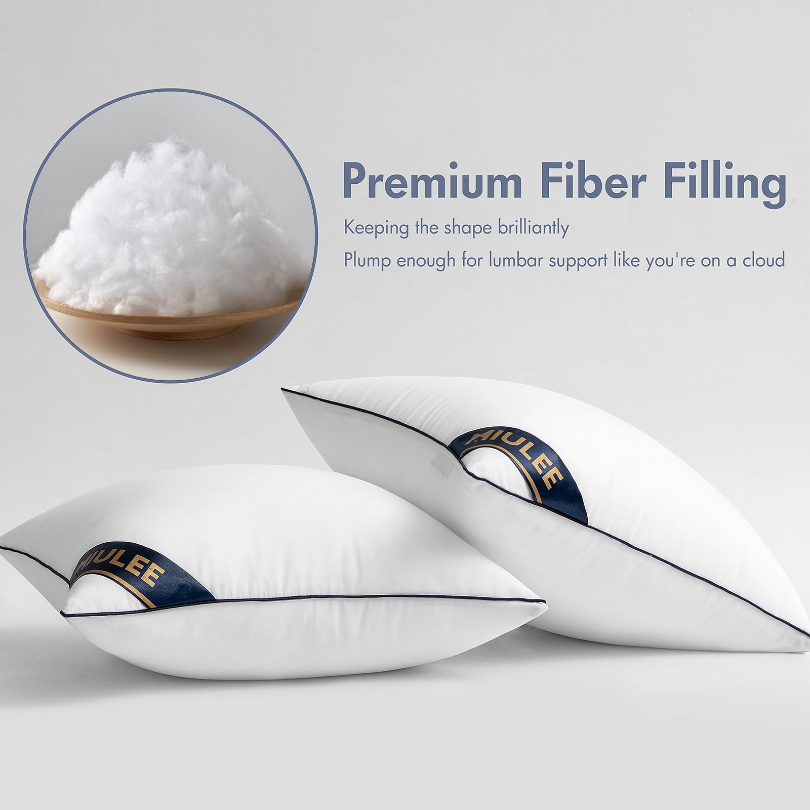 Miulee 22X22 Pillow Inserts Set Of 2 Throw Pillows 22 Inch Premium Down Alternative Pillow Inserts Decorative Pillow Stuffer For Sofa, Couch (22X22 Inch, Set Of 2)