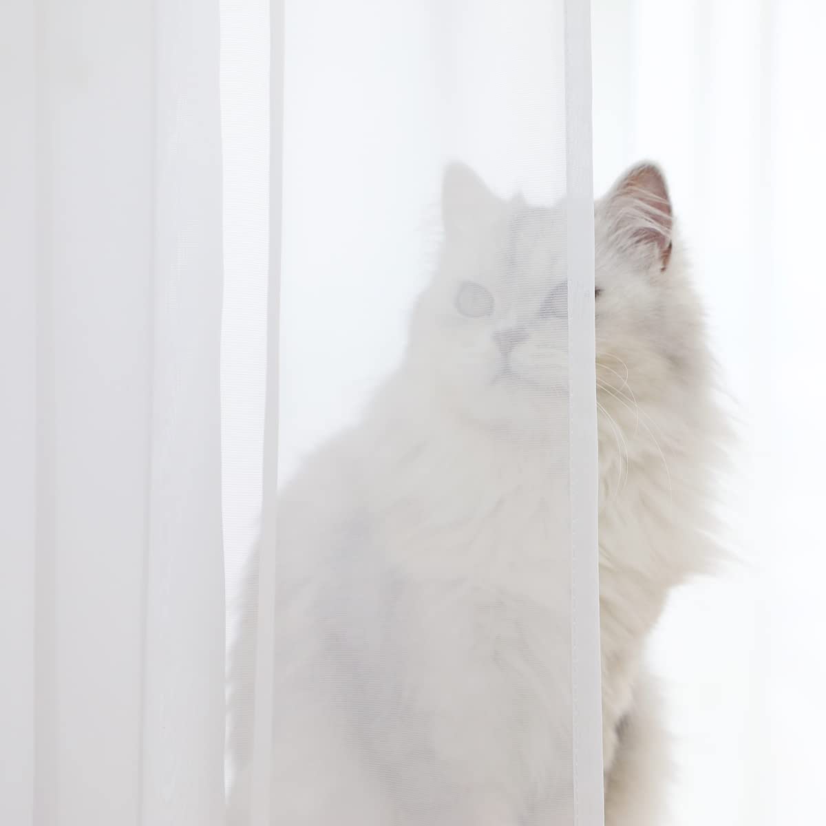 Window White Sheer Curtains 51.8X83.8 Inches Long 2 Panels Sheer White Curtains Basic Rod Pocket Panel For Bedroom Children Livi
