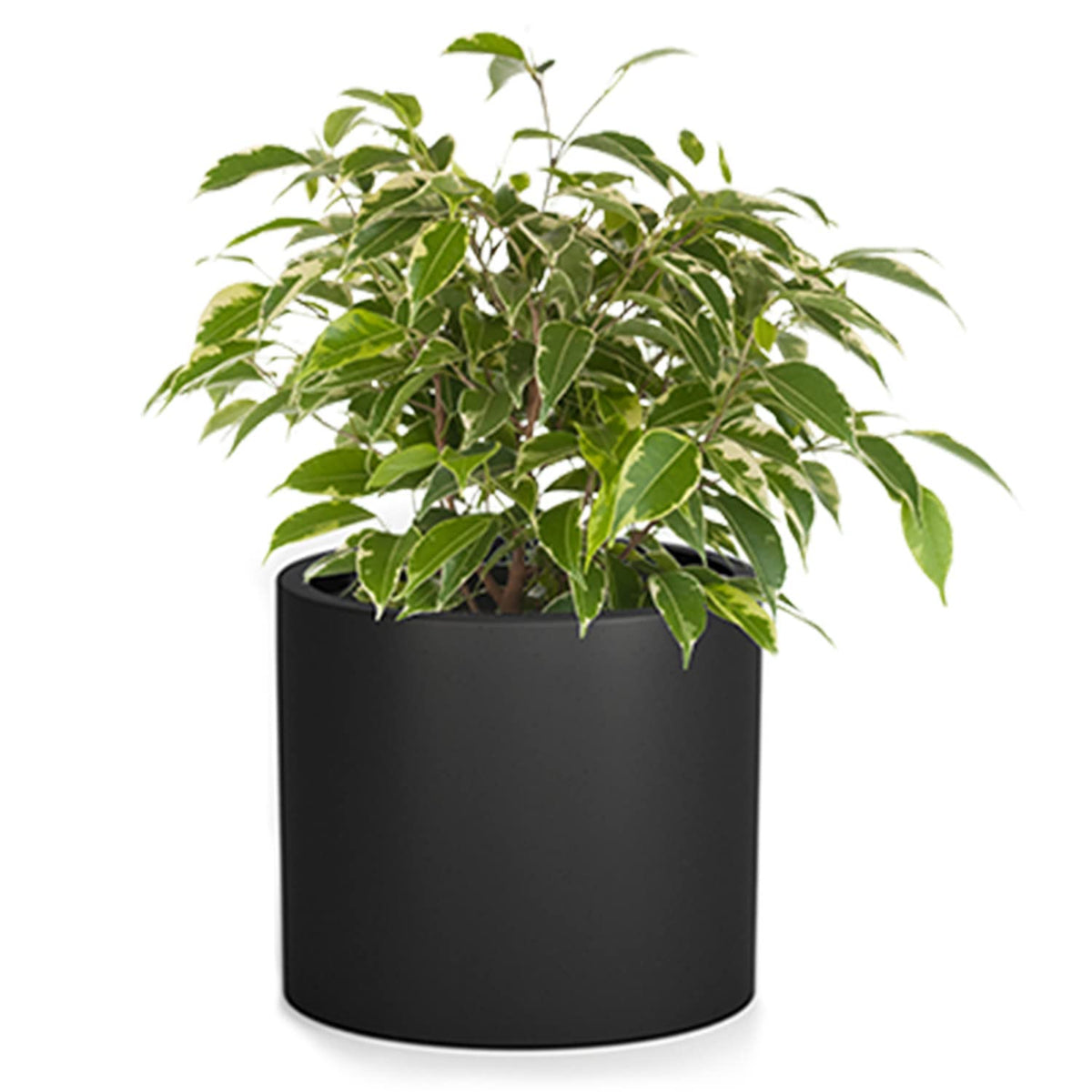 Fox & Fern 10 Inch Plant Pots Indoor, Black Planters For Indoor Plants, Flower Pots For Indoor Plants - Fits Mid Century Modern