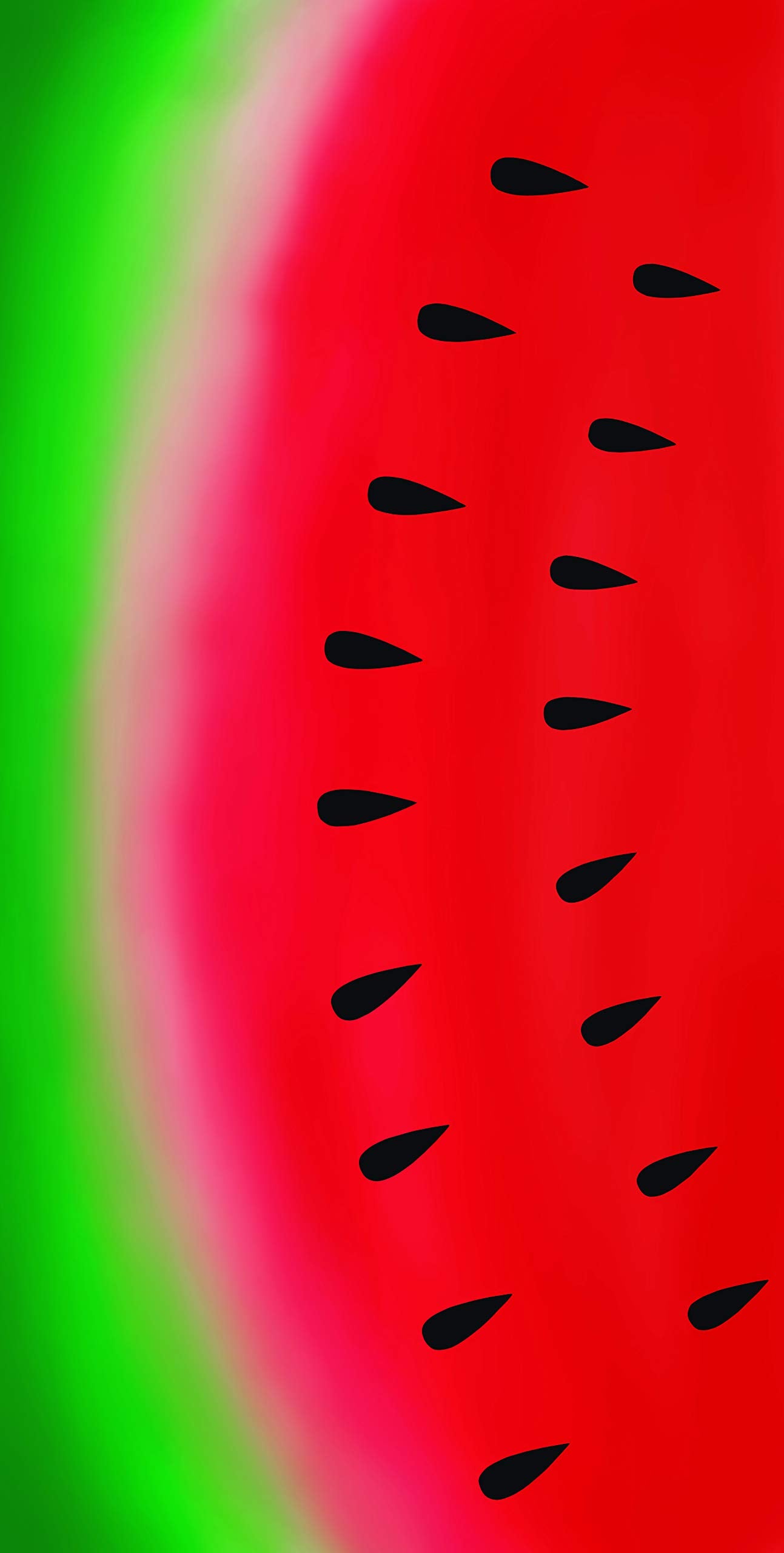 Bahia Collection by Dohler Watermelon Brazilian Velour Beach Towel 30x60 Inches