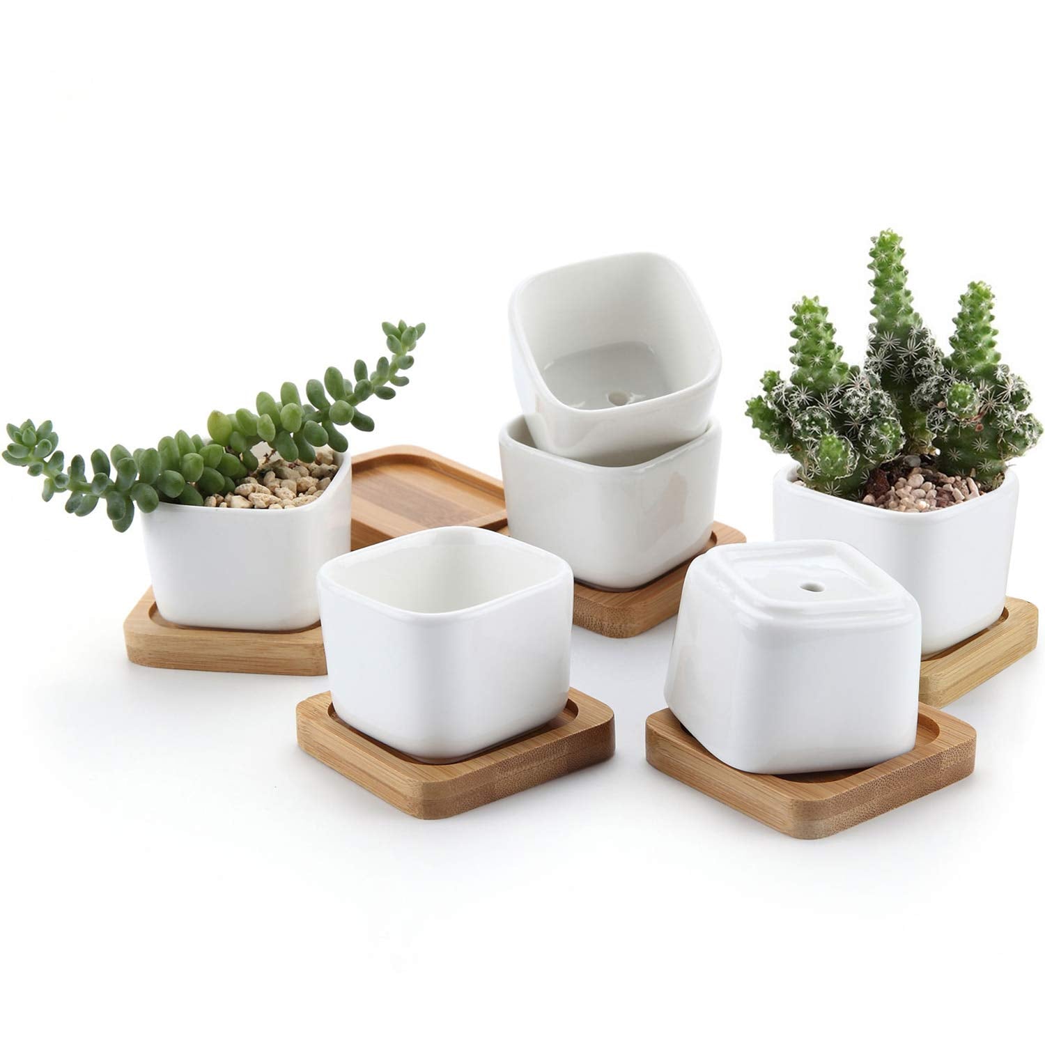 T4U 2 Inch Small White Succulent Planter Pots With Bamboo Tray Square Set Of 6, Ceramic Succulent Air Plant Flower Pots Cactus F