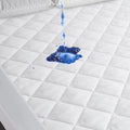Queen Mattress Pad Protector Waterproof, Absorbent Quilted Fitted Mattress Protector, Queen Mattress Cover Down Alternative Fill