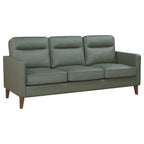 Coaster Jonah Upholstered Track Arm Sofa Green