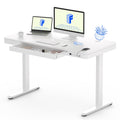 FLEXISPOT Comhar Electric Standing Desk with Drawers Charging USB A to C Port, Height Adjustable 48 Whole-Piece Home Office Comp