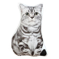 Jwh 3D Cat Pillow Cover Decorative Throw Pillow Animal Shaped Accent Pillow Pets Print Pillowcase For Girls Kids Bed Bedroom Cou